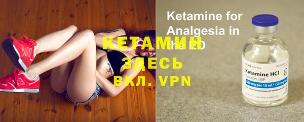 гашик Дмитров