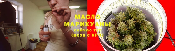 гашик Дмитров