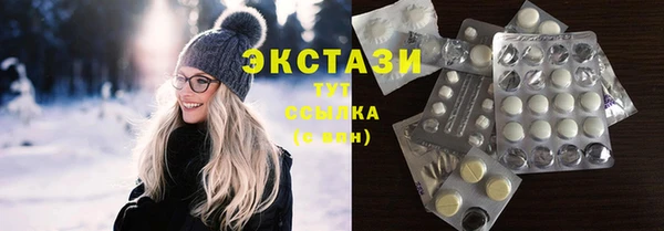 гашик Дмитров