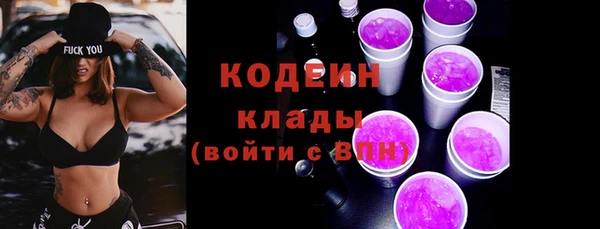 дживик Дмитриев