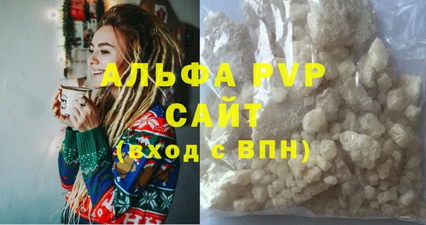 гашик Дмитров