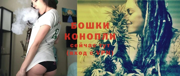 гашик Дмитров