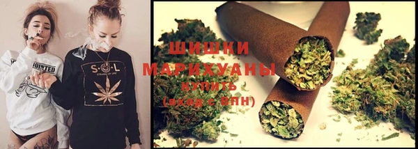 дживик Дмитриев