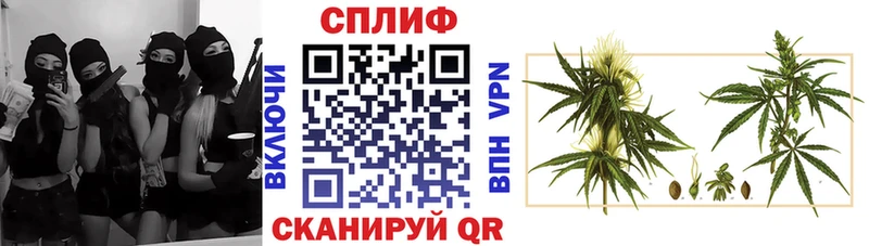 Купить  Туапсе  Шишки марихуана марихуана 